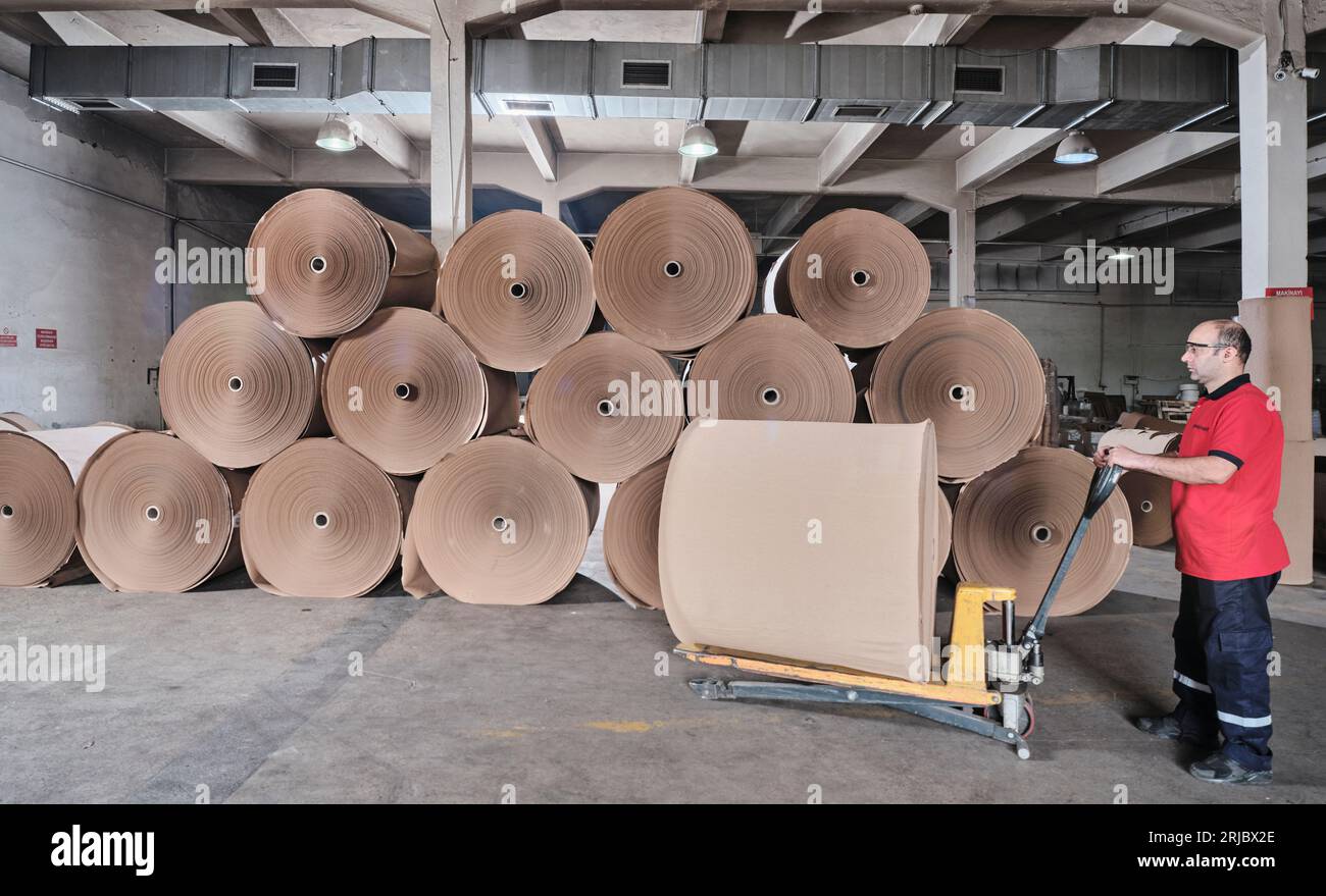 big paper rolls in a factory. Brown paper rolls used for packaging in