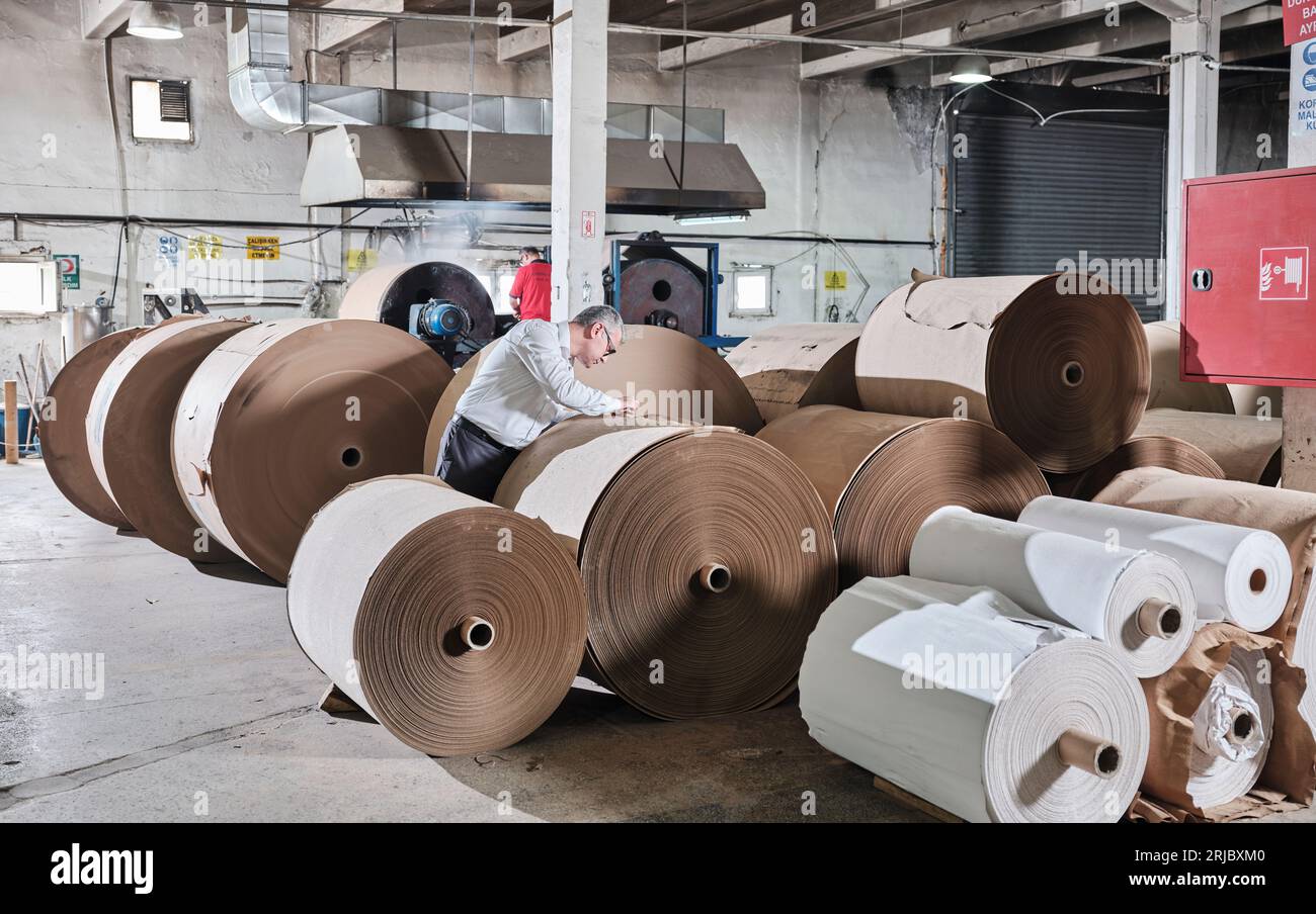 big paper rolls in a factory. Brown paper rolls used for packaging in
