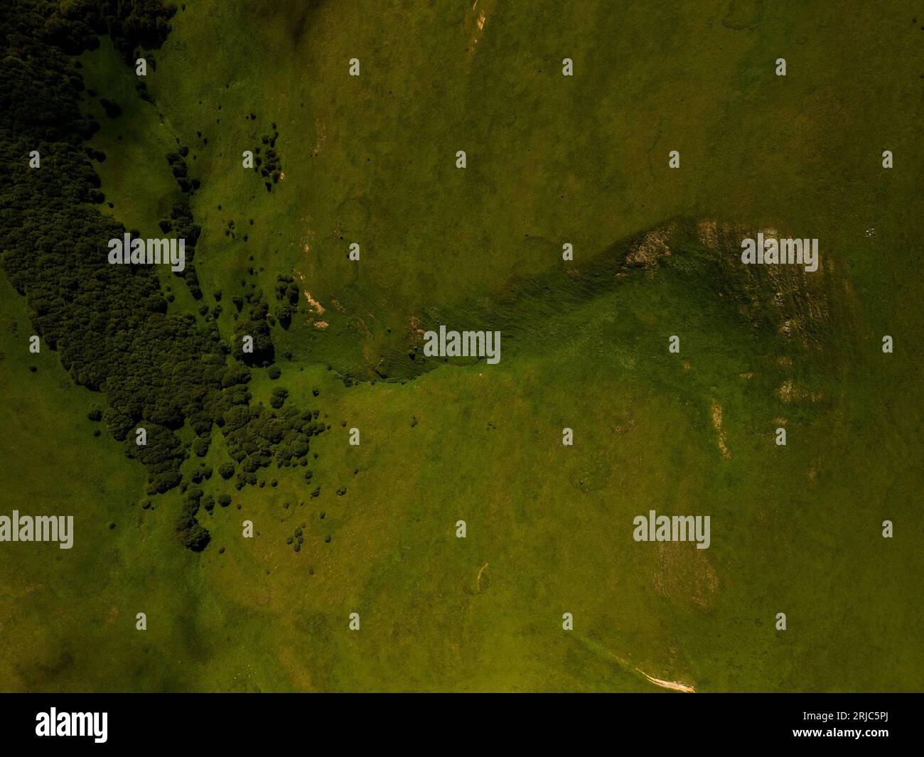 An aerial view of a green field dotted with lush trees Stock Photo - Alamy