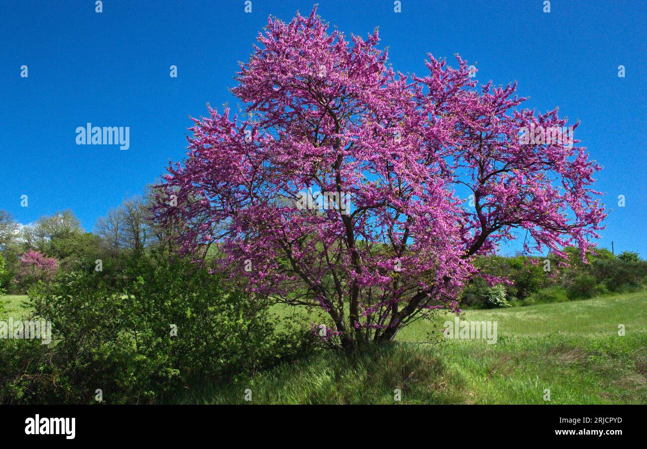 Cielo luminoso hi-res stock photography and images - Alamy