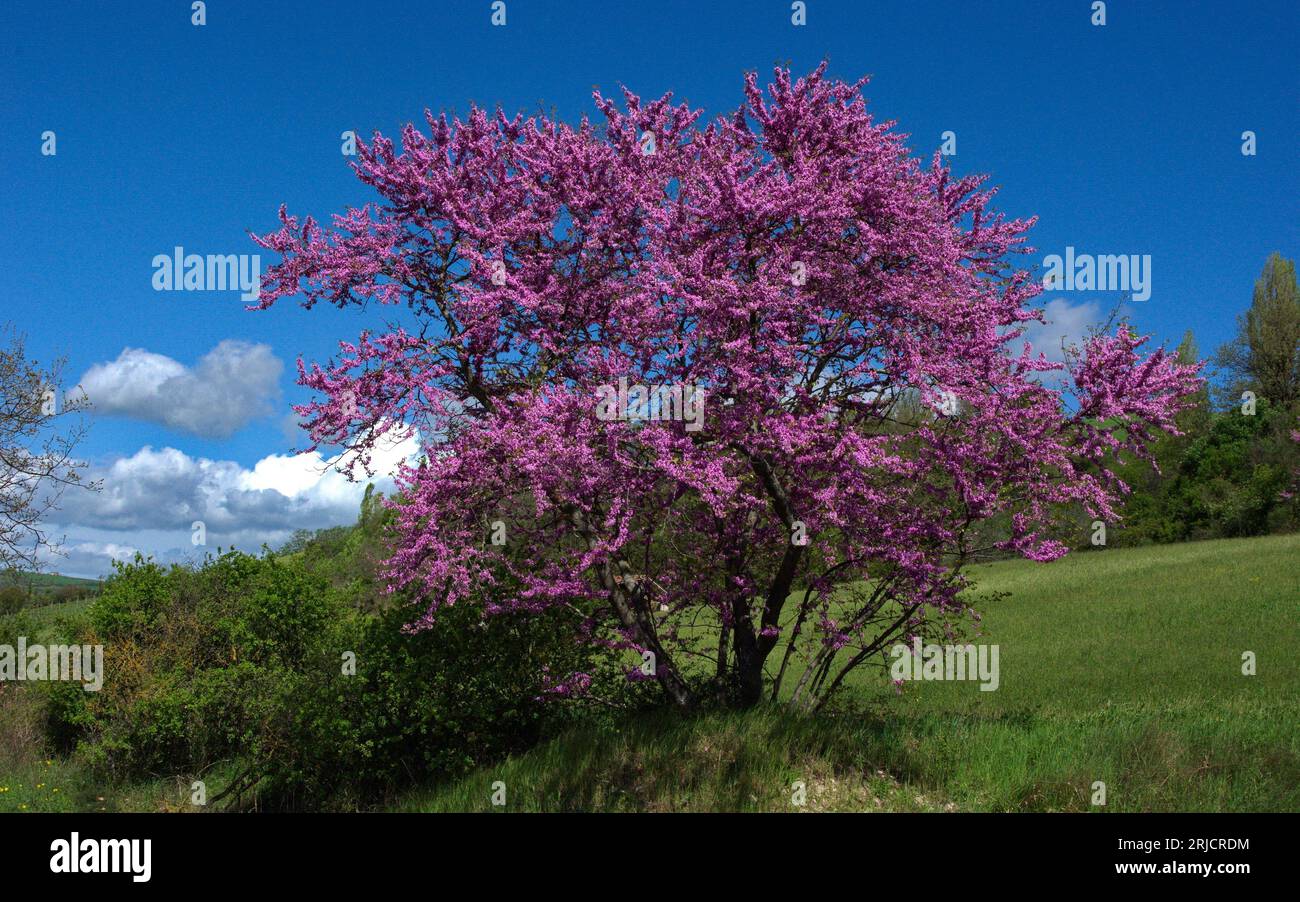 Cielo luminoso hi-res stock photography and images - Alamy