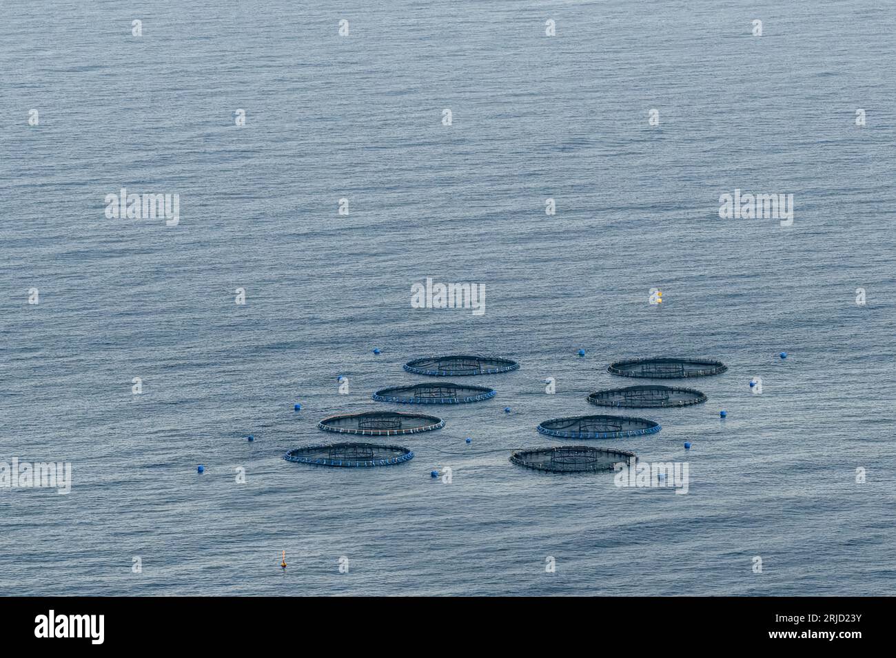 Sustainable Aquaculture: Fish Farming off the Coast of Calpe, Alicante ...