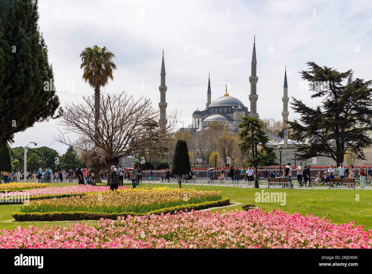 A picture of the Blue Mosque and the Sultan Ahmet Park Stock Photo - Alamy