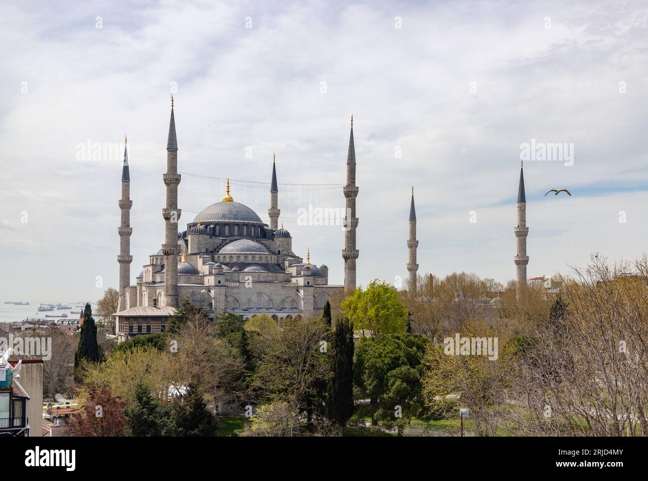 A picture of the Blue Mosque and the Sultan Ahmet Park Stock Photo - Alamy