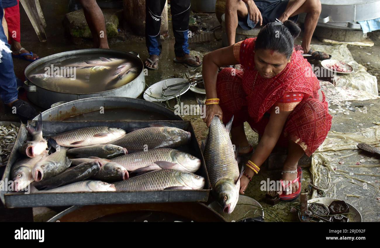 Guwahati, Guwahati, India. 22nd Aug, 2023. A woman sells local fishes
