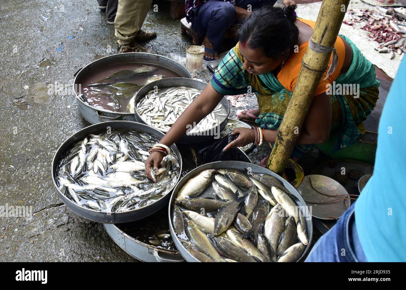 Guwahati, Guwahati, India. 22nd Aug, 2023. A woman sells local fishes