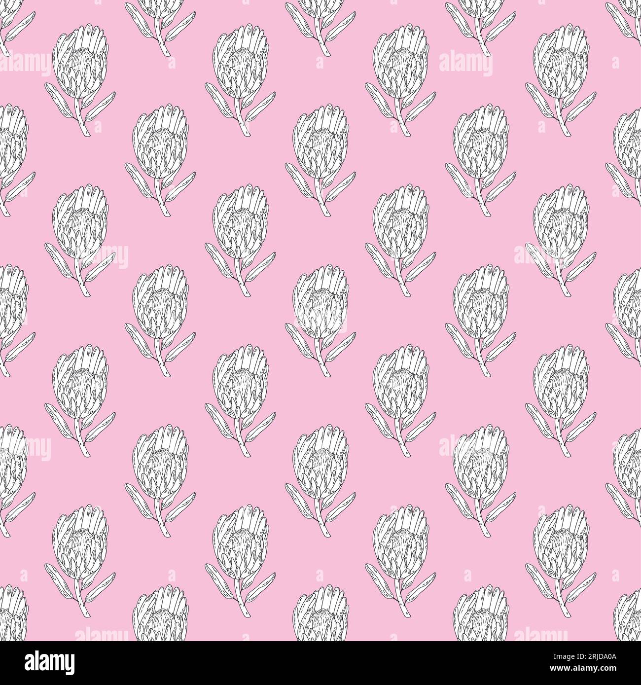 Hand drawn vector seamless pattern line art white graphic flowers king ...