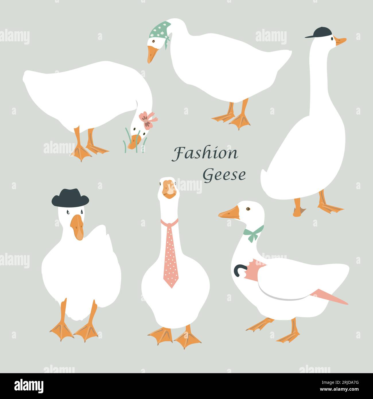 Set of cute dressed geese. Goose in a hat, tie, scarf, and with