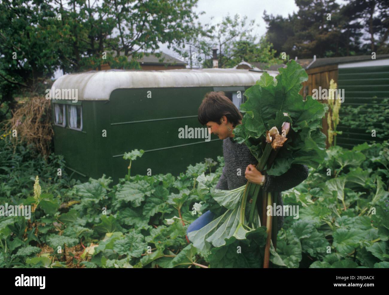 Findhorn Community Foundation. A1970s New Age Community. Peter Caddy's