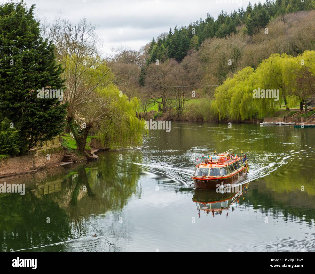 Cruising on the River Wye at Symonds Yat Stock Photo