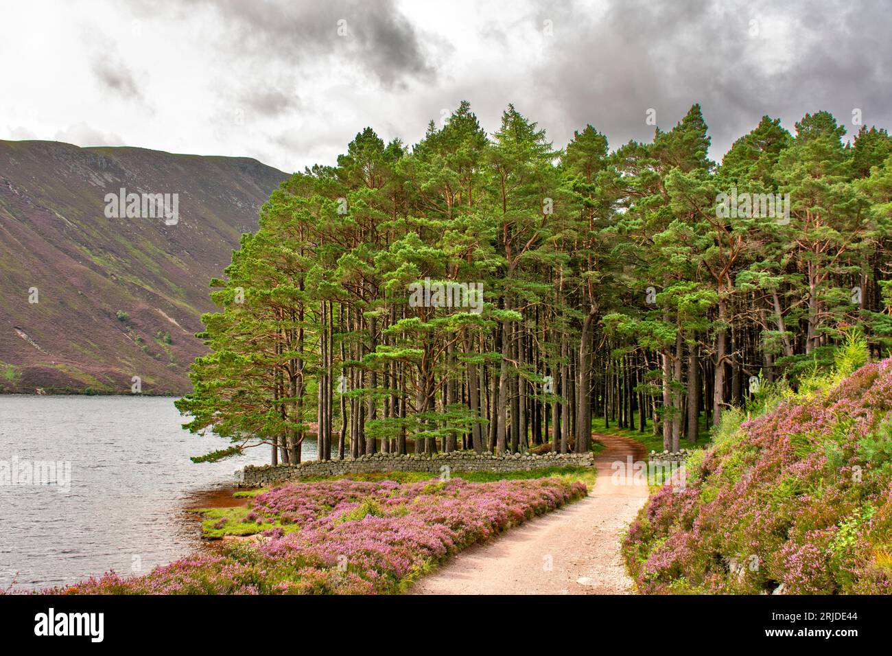 Loch Muick Ballater Balmoral Estate Scotland a stone wall the approach to Glas allt Shiel house in summer Stock Photo