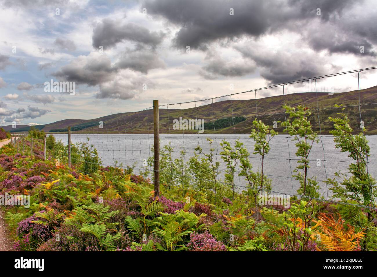Loch Muick Ballater Balmoral Estate Scotland conservation zone wire