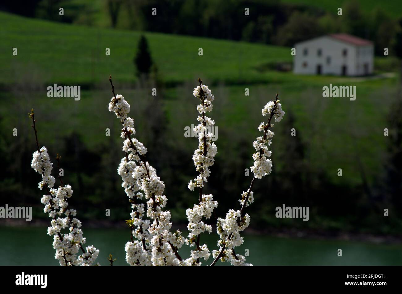 Sfondo bianco casa hi-res stock photography and images - Alamy