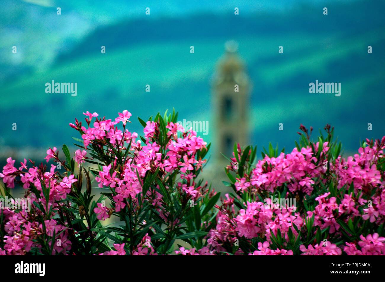 Sfondo sfocato sole hi-res stock photography and images - Alamy