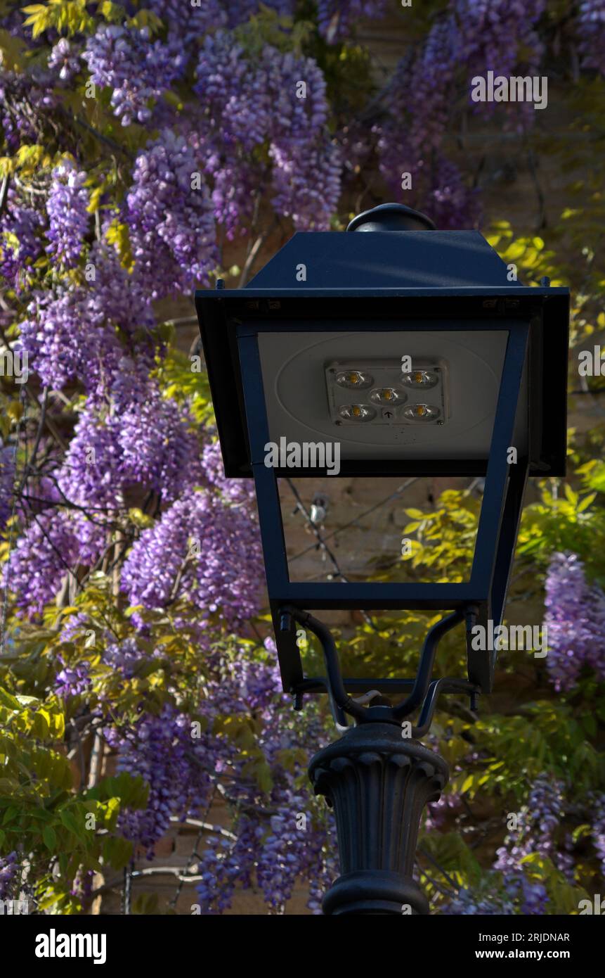 Luminoso colore hi-res stock photography and images - Alamy