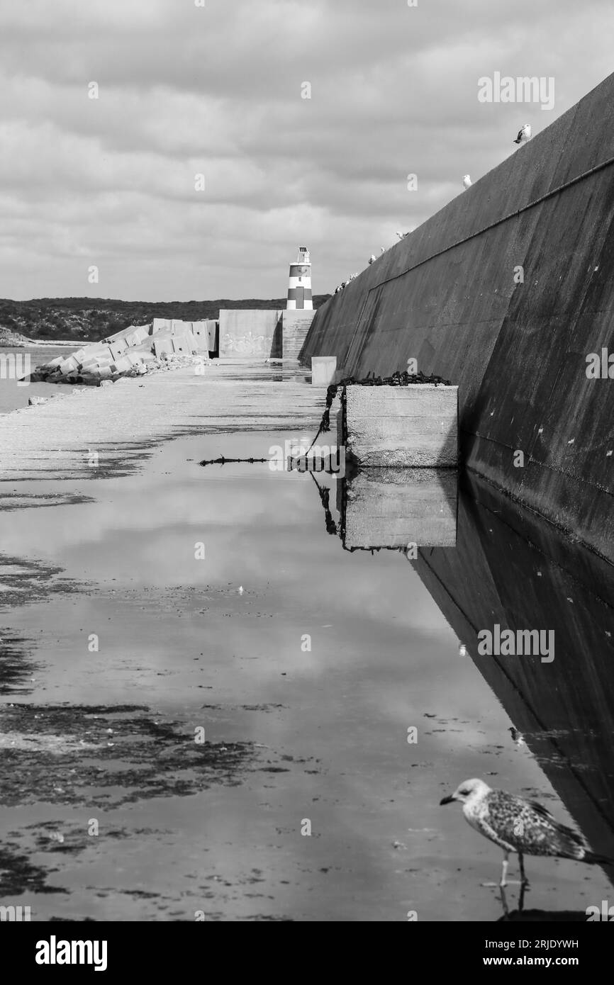 Concrete blocks on a puddle of water with reflections in the port of
