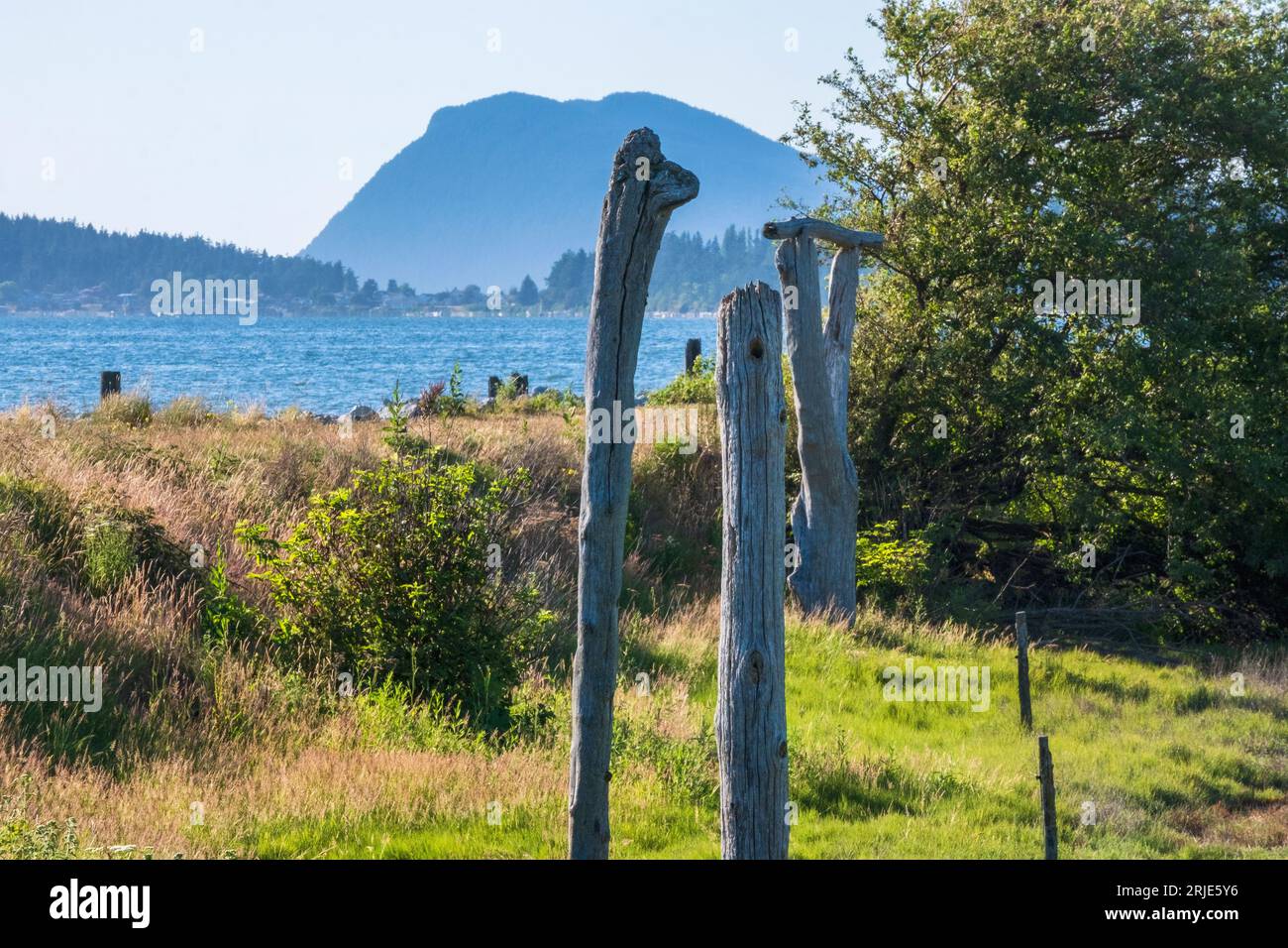Wetlands along Padilla Bay in Skagit County, Washington Stock Photo