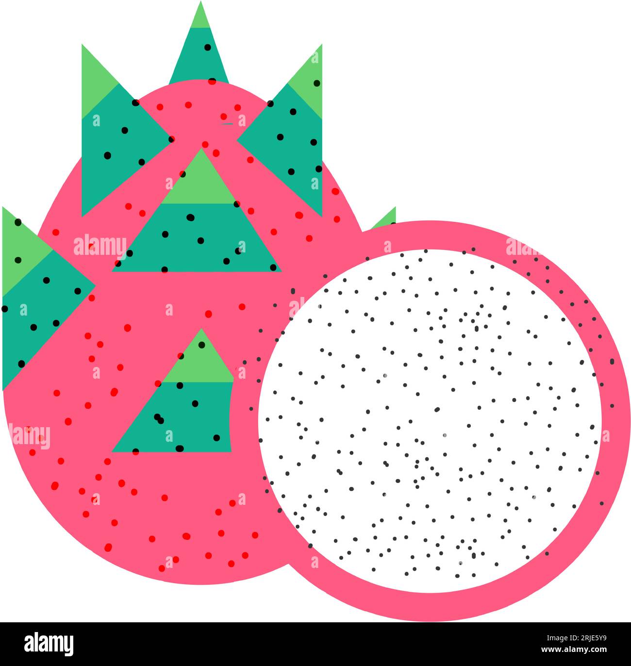 Dragon fruit, pitahaya or strawberry pear vector Stock Vector