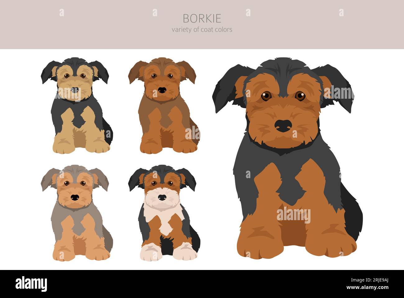 Airedale yorkie mix sales
