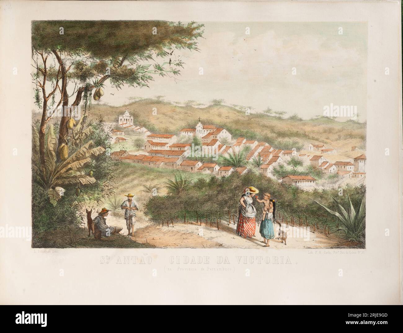 Pernambuco Artist Hi res Stock Photography And Images Alamy pernambuco-artist-hi-res-stock-photography-and-images-alamy