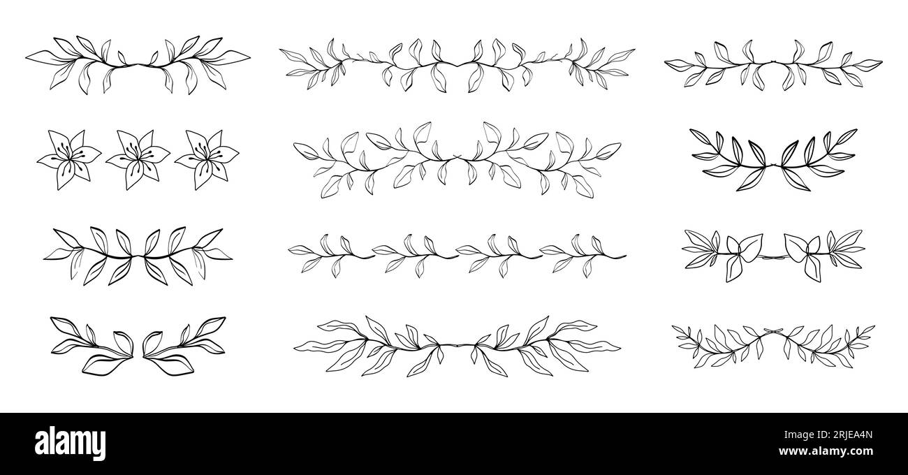 Floral dividers set Hand drawn leaf borders decor Stock Vector Image ...