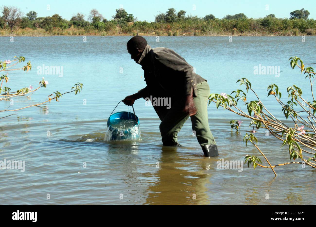 A man wades into the river to draw some water in Gokwe. Gokwe is a semi-arid area and locals grow crops close to the river for easy watering. Zimbabwe. Stock Photo