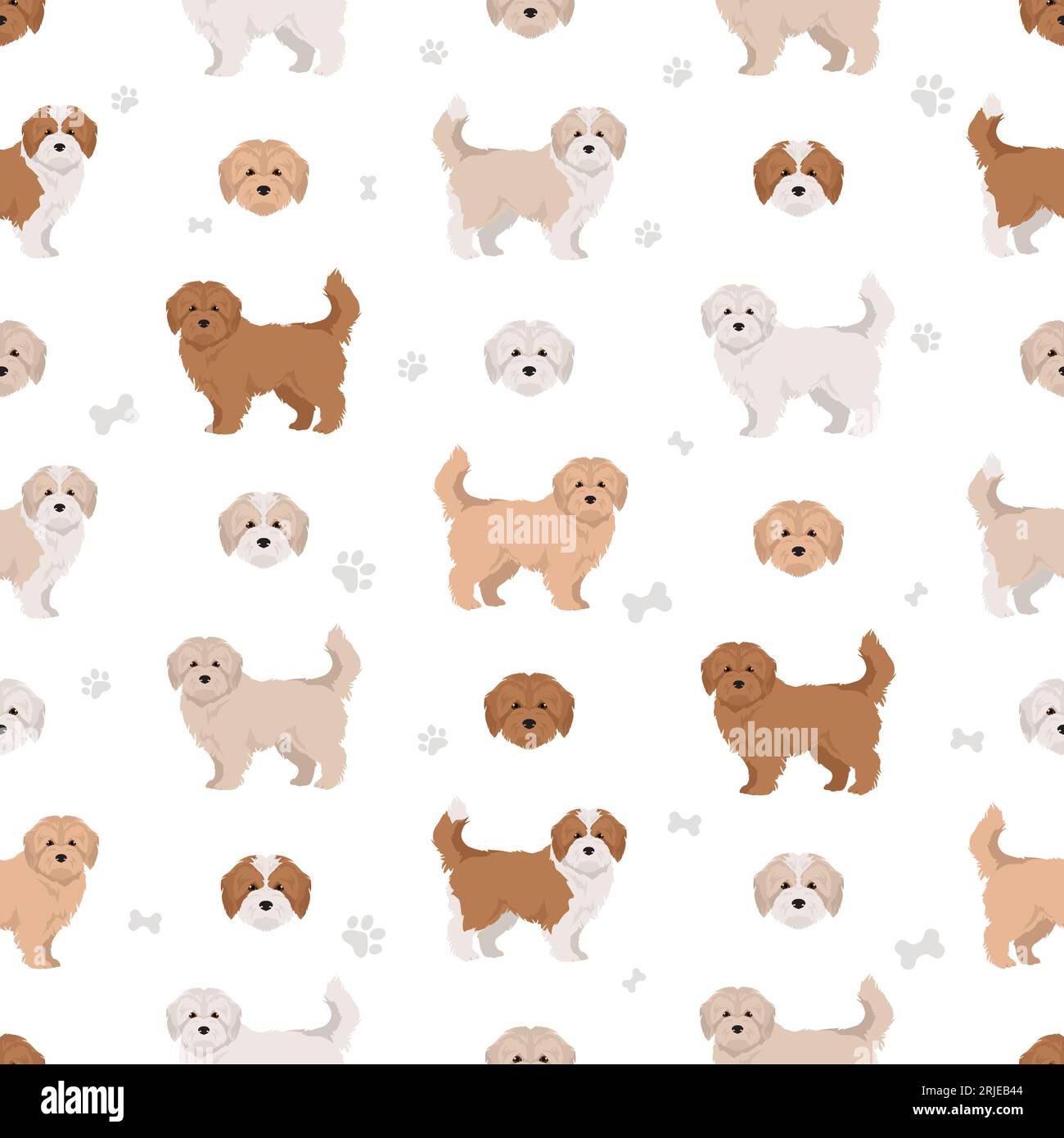 Maltipoo seamless pattern. Maltese Poodle mix. Different coat colors set.  Vector illustration Stock Vector