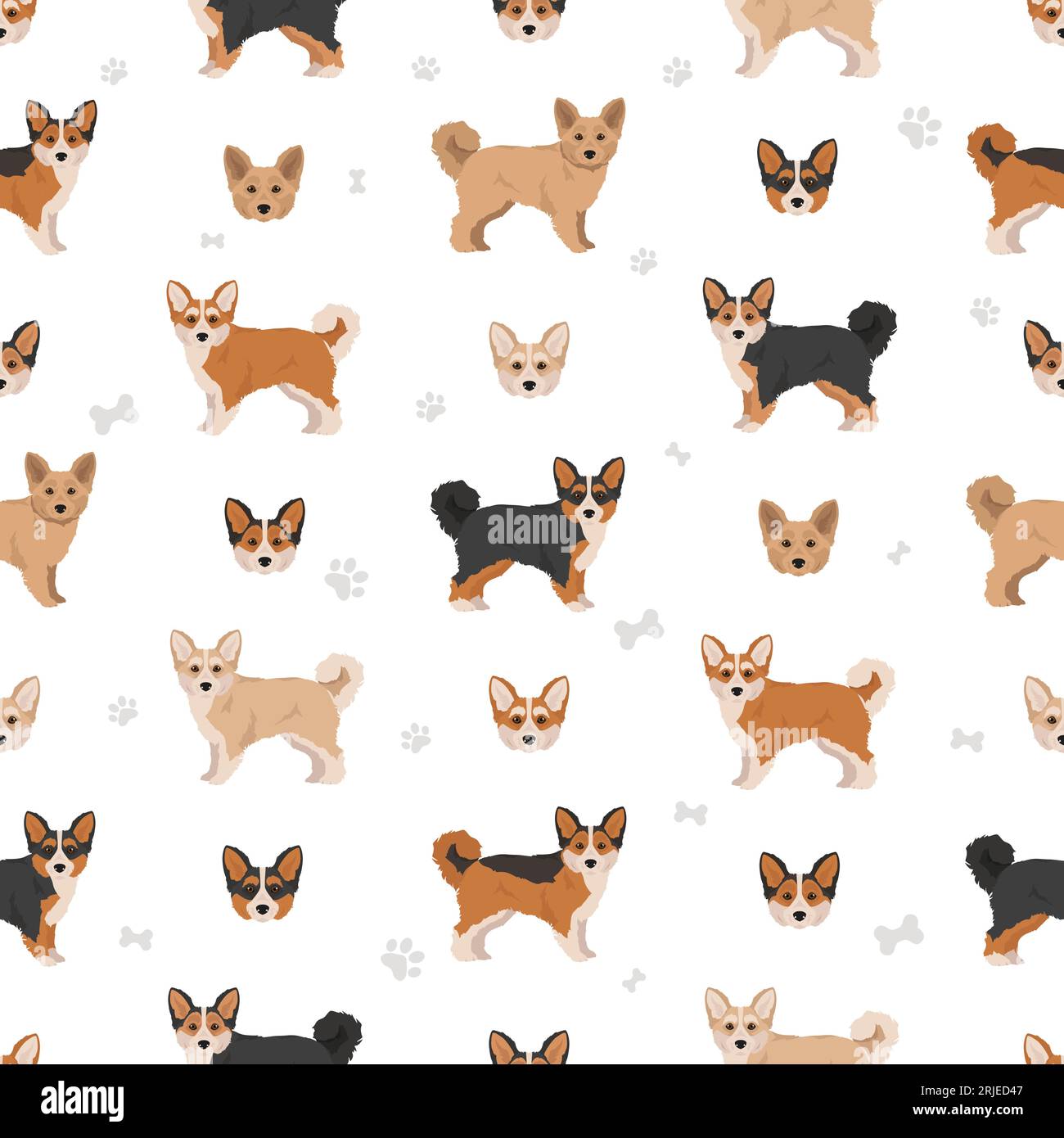 seamless pattern. Welsh Poodle mix. Different coat colors set. Vector