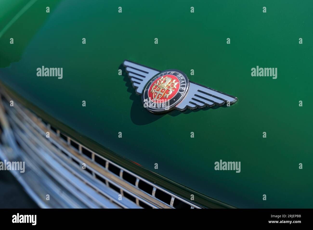Waltershausen, Germany - June 10, 2023: Company logo on the hood of an ...