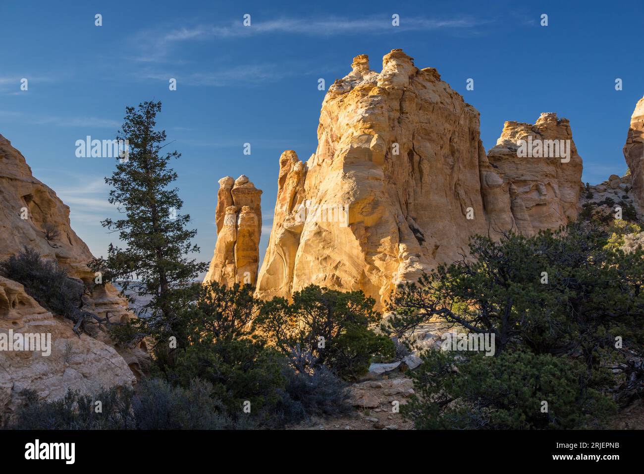 Ponderosa & Pinyon Pines & colorful sandstone hoodoo rock formations, Head of Sinbad area, San Rafael Swell in Utah. Stock Photo