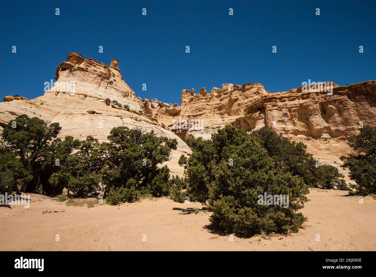 Light-colored Navajo Sandstone formations in Sinbad Country in the San Rafael Swell in south central Utah.   Pinyon and juniper trees grow at the base Stock Photo