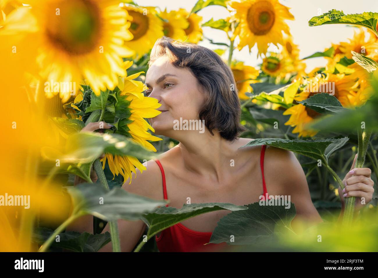 beautiful cute sexy girl enjoying sunflower flowers, smiling beautiful smile, cheerful girl, style, lifestyle, perfect for advertising and photo sun s Stock Photo