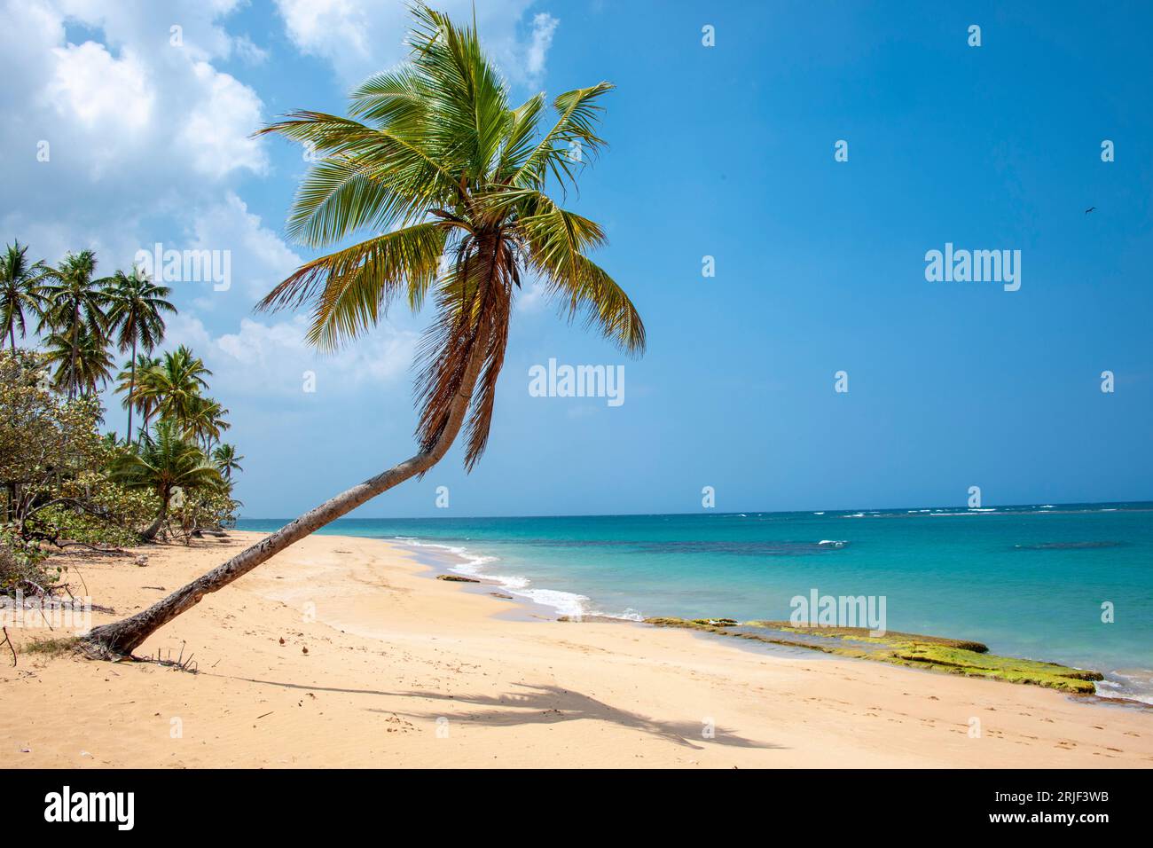 Luquillo Beach   Luquillo,  Puerto Rico,USA,Caribbean Stock Photo