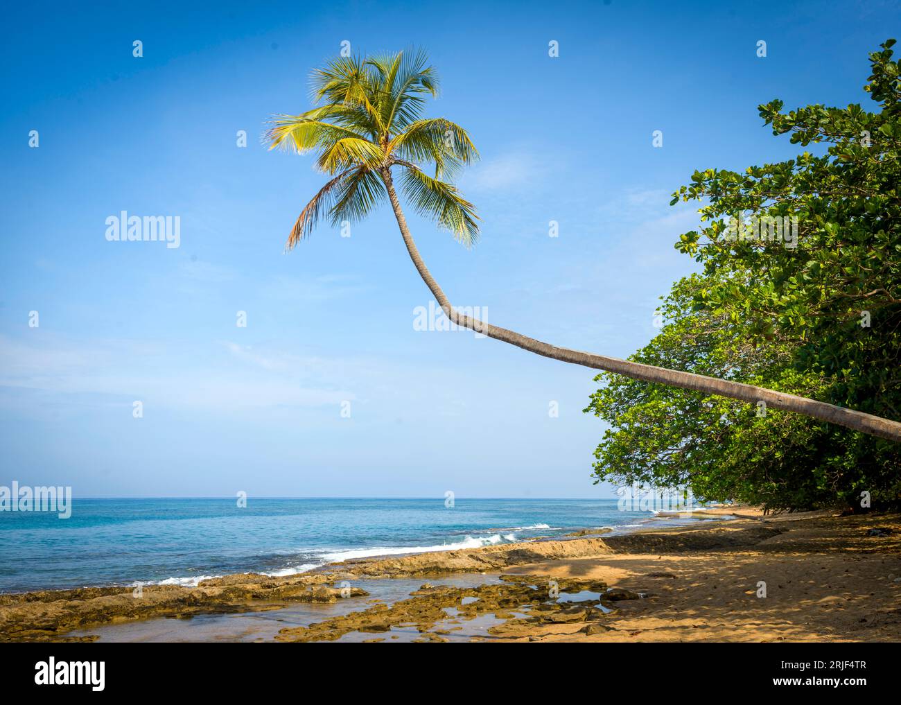 Tres Palmas Beach in Rincon,  west coast, Puerto Rico,USA,Caribbean Stock Photo