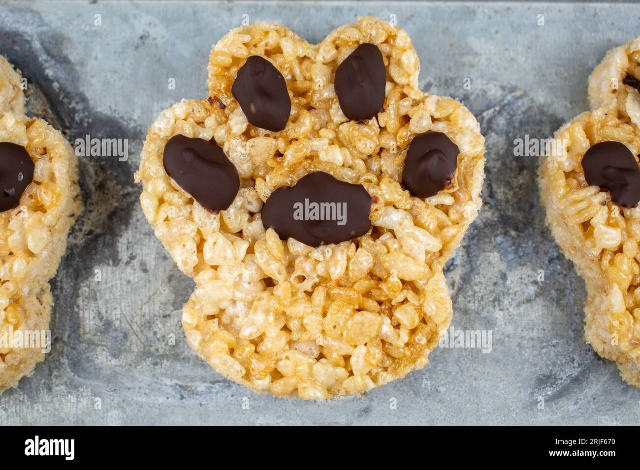Puppy paw shape rice krispie treat Stock Photo Alamy