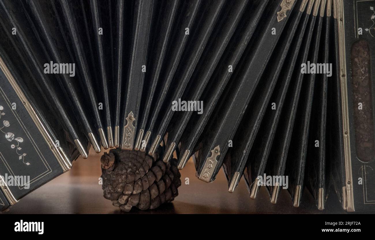 Closeup detail of the bellows of an old accordion Stock Photo Alamy