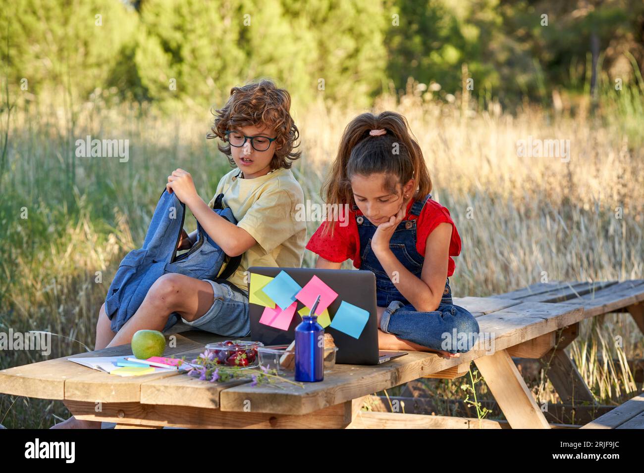 Full body of boy and girl in casual clothes talking while sitting on table in recreation area and browsing netbook together in countryside Stock Photo