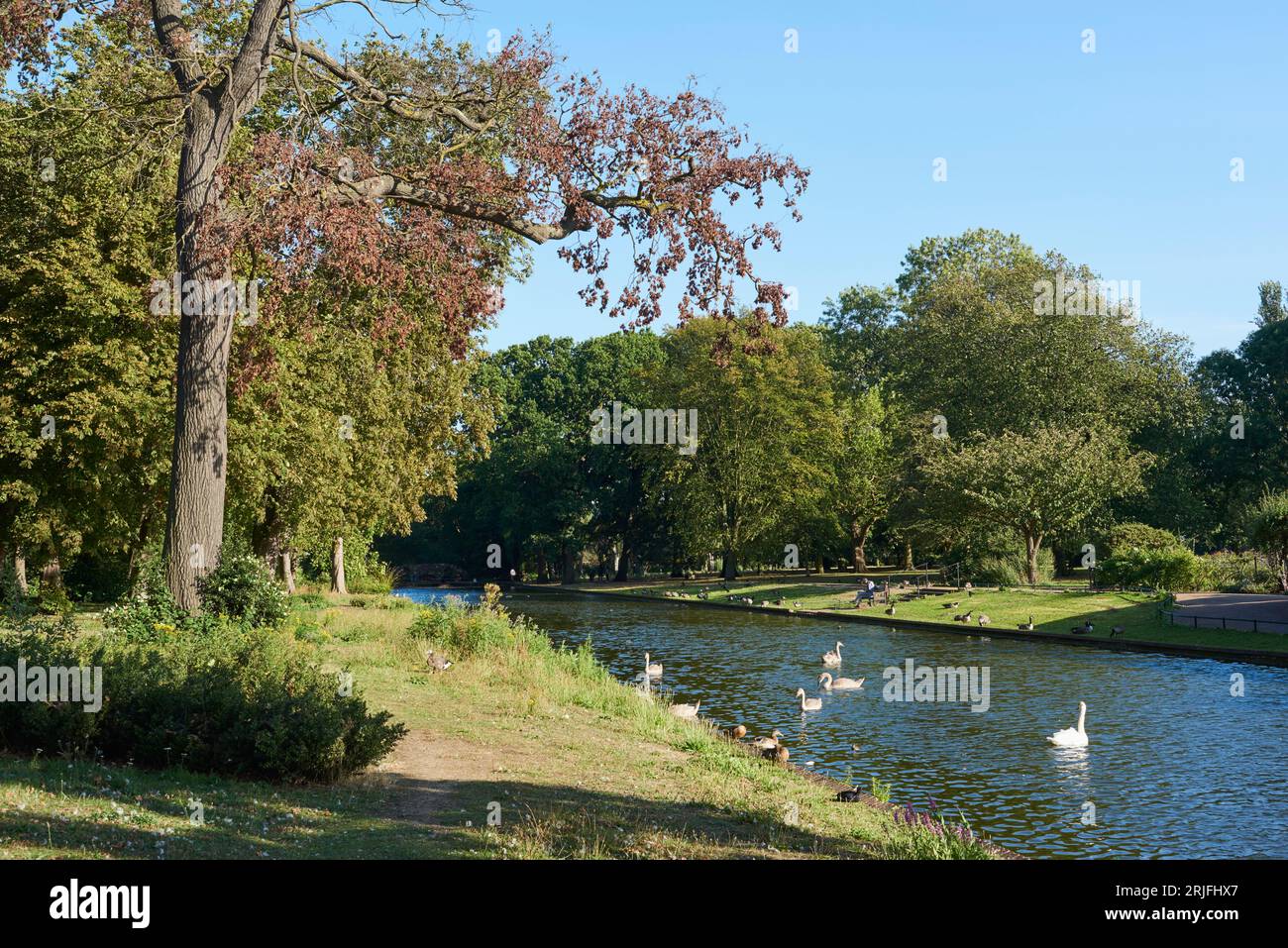 The Long Water Canal in Valentine's Park, Ilford, in the London Borough of Redbridge, London UK Stock Photo