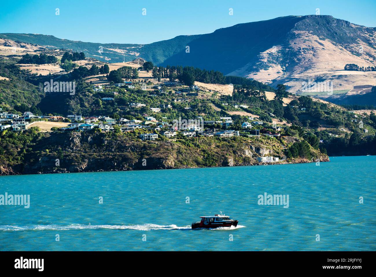 Cass Bay, Lyttelton Harbour, Banks Peninsula, Canterbury, South Island, New Zealand Stock Photo