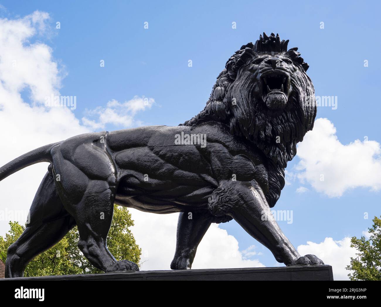 Maiwand Lion, Statue, Forbury Gardens, Reading, Berkshire, England, UK