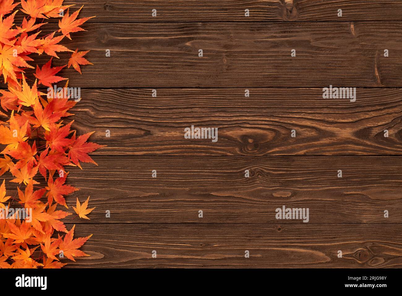 Vintage Autumn Background with Fall Maple Foliage Border Stock Photo