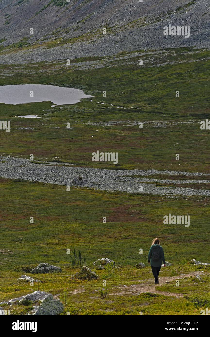 Distant view of unrecognizable female hiker walks on path across green ...