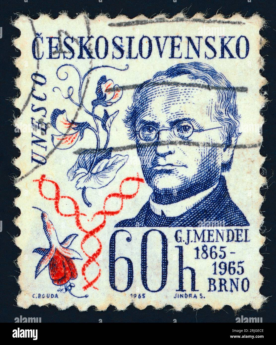 Gregor Johann Mendel (1822 – 1884). Postage stamp issued in Czechoslovakia in 19xx. Mendel was a botanist, teacher, and Augustinian prelate, the first person to lay the mathematical foundation of the science of genetics, in what came to be called Mendelism. Stock Photo