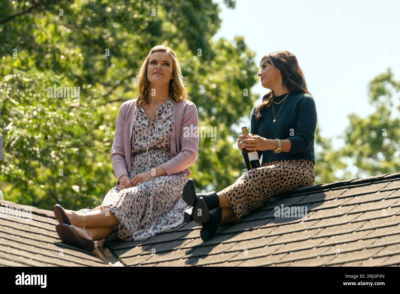 SHELTER, (aka HARLAN COBEN'S SHELTER), from left: Missi Pyle, Constance