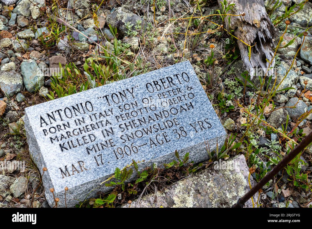 The old headstones at Silverton Hillside Cemetery offer brief epitaphs