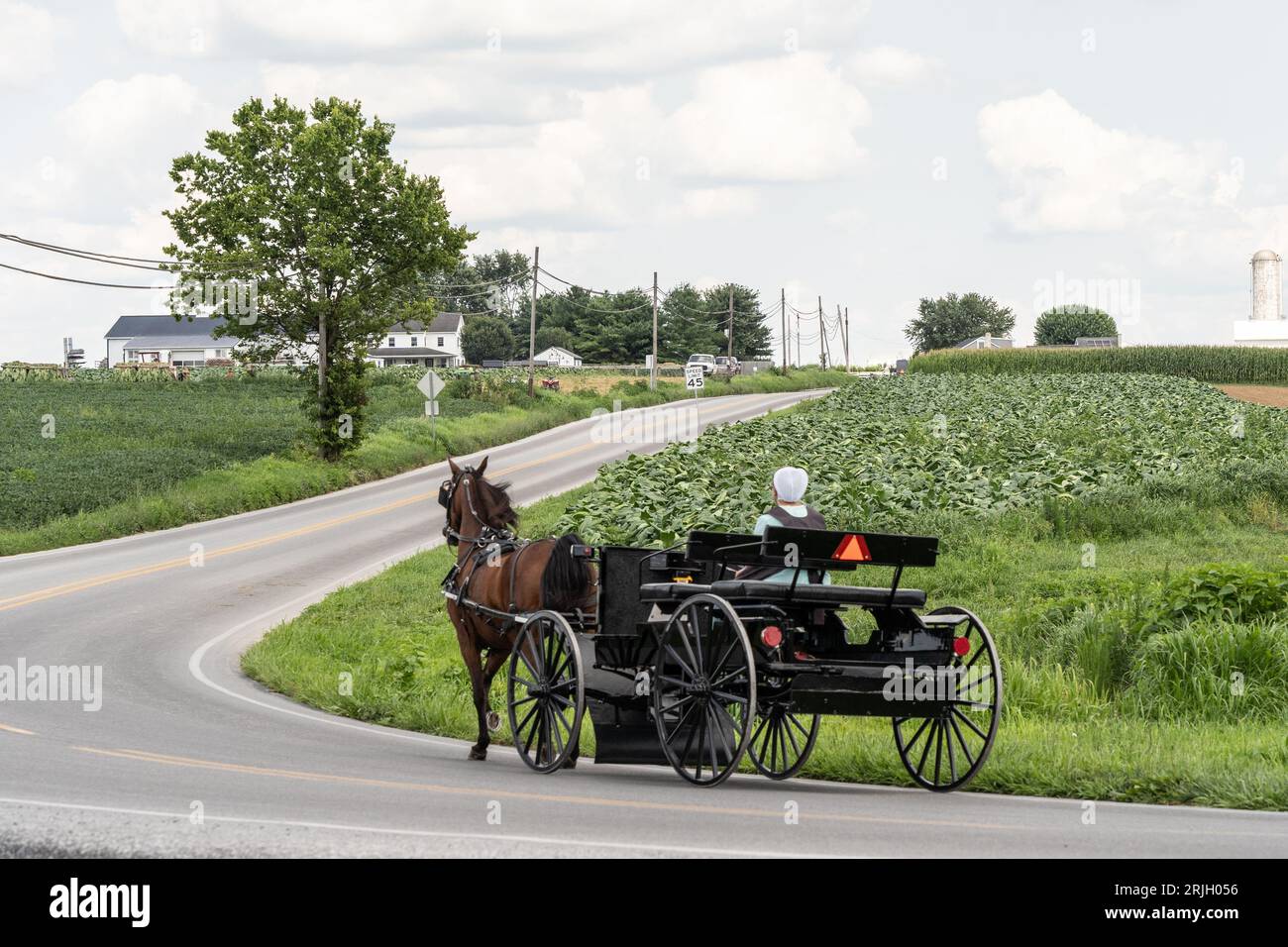 Strasburg, Pennsylvania: July 31, 2023: Amish woman drives cart in Lancaster County, Pennsylvania Stock Photo