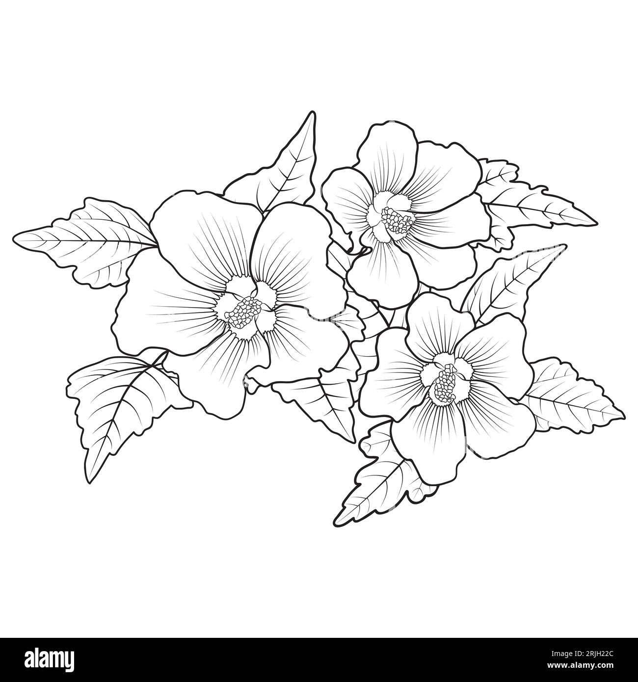 Hardy hibiscus syriacus. Line art perennial hibiscus flower coloring