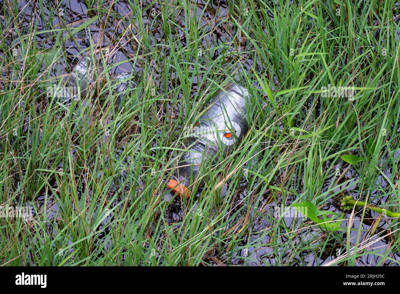 Plastic pollution - two empty plastic bottles floating in the grass and weeds along the Sacandaga River in the Adirondack Mountains, NY USA Stock Photo