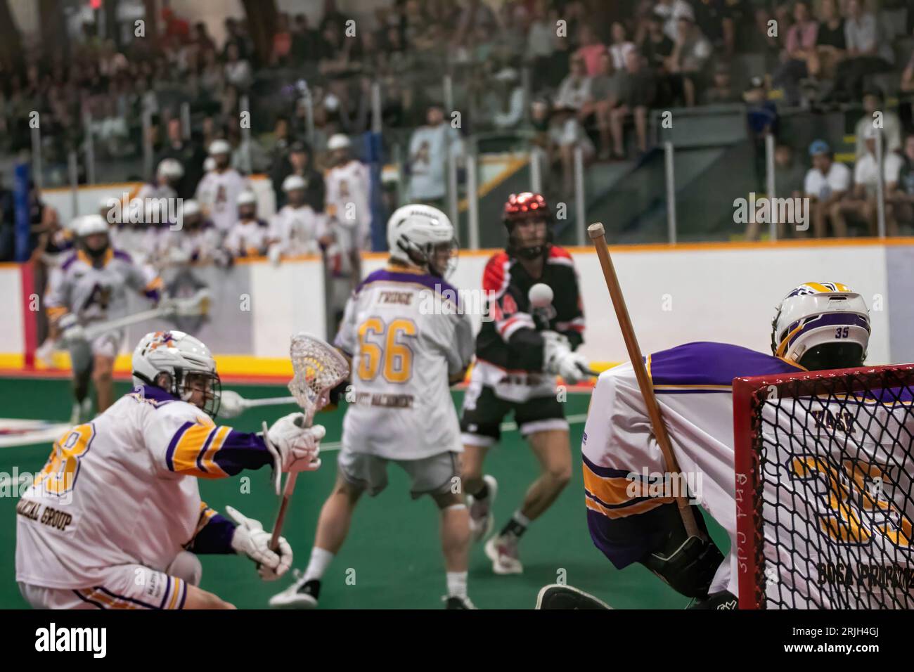 Edmonton Miners (black/orange) Kean Moon (44) fires a shot through the defense at Coquitlam Adanacs goaltender (White Yellow) Jack Kask (35) in Minto Cup Day 2 action between Edmonton Miners and Coquitlam Adanacs at Bill Hinter Arena. Final Score: Edmonton Miners vs Coquitlam Adanacs, 11:15 The Minto Cup is the National Junior A Box Lacrosse championship.  The Minto Cup was donated in 1901 by Sir Gilbert John Murray Kynmond Elliot, and was formally made the trophy for the Junior A National box lacrosse championship in 1937. Stock Photo