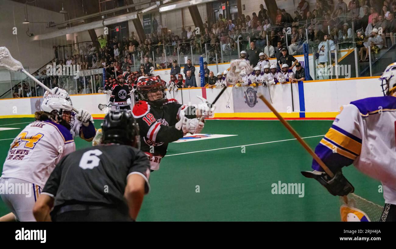 Edmonton Miners (black/orange) Declan Fitzpatrick (18) shoots on Coquitlan Adanacs (White/Yellow) Jack Kask (35) Minto Cup Day 2 action between Edmonton Miners and Coquitlam Adanacs at Bill Hinter Arena. Final Score: Edmonton Miners vs Coquitlam Adanacs, 11:15 The Minto Cup is the National Junior A Box Lacrosse championship.  The Minto Cup was donated in 1901 by Sir Gilbert John Murray Kynmond Elliot, and was formally made the trophy for the Junior A National box lacrosse championship in 1937. Stock Photo